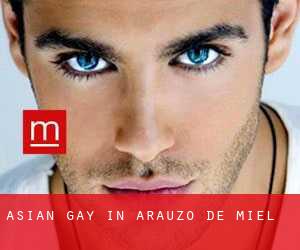 Asian Gay in Arauzo de Miel