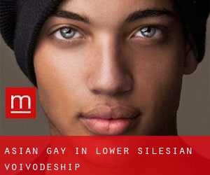 Asian Gay in Lower Silesian Voivodeship