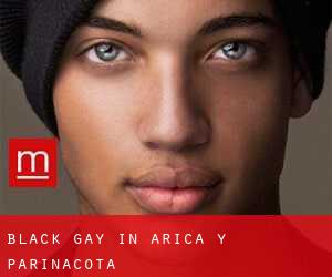 Black Gay in Arica y Parinacota
