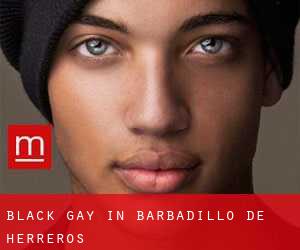 Black Gay in Barbadillo de Herreros