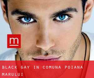 Black Gay in Comuna Poiana Mărului