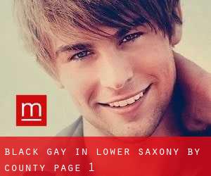 Black Gay in Lower Saxony by County - page 1