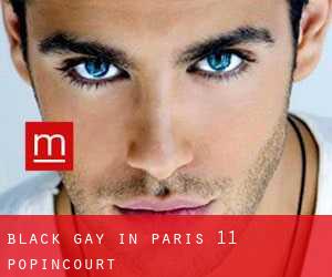 Black Gay in Paris 11 Popincourt