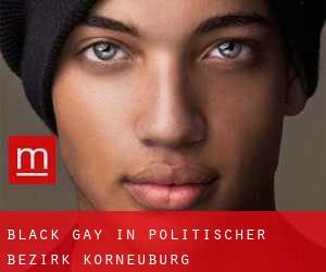 Black Gay in Politischer Bezirk Korneuburg
