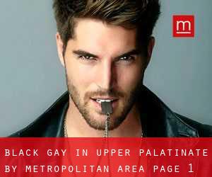 Black Gay in Upper Palatinate by metropolitan area - page 1