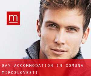 Gay Accommodation in Comuna Mirosloveşti