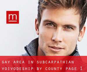 Gay Area in Subcarpathian Voivodeship by County - page 1