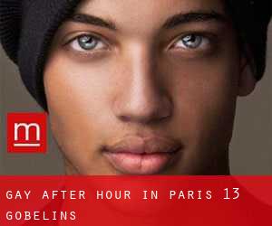 Gay After Hour in Paris 13 Gobelins