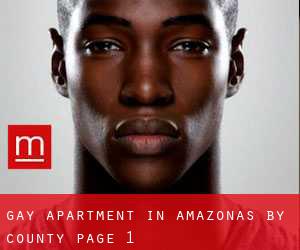Gay Apartment in Amazonas by County - page 1