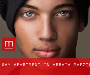 Gay Apartment in Arraia-Maeztu