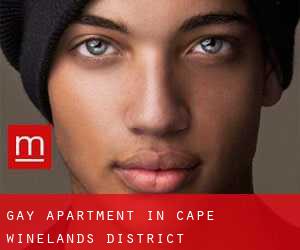 Gay Apartment in Cape Winelands District Municipality