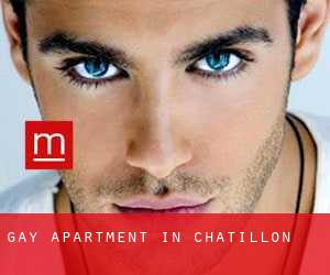 Gay Apartment in Châtillon