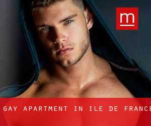 Gay Apartment in Île-de-France