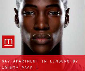 Gay Apartment in Limburg by County - page 1