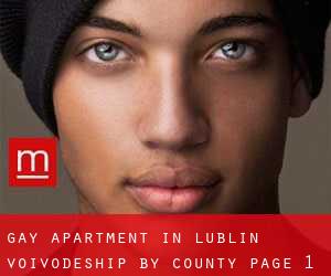 Gay Apartment in Lublin Voivodeship by County - page 1