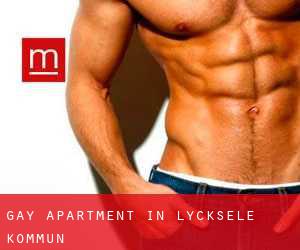 Gay Apartment in Lycksele Kommun