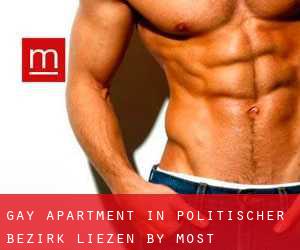 Gay Apartment in Politischer Bezirk Liezen by most populated area - page 1