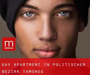 Gay Apartment in Politischer Bezirk Tamsweg
