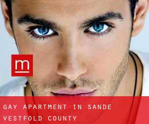 Gay Apartment in Sande (Vestfold county)
