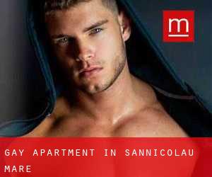 Gay Apartment in Sânnicolau Mare