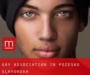 Gay Association in Požeško-Slavonska