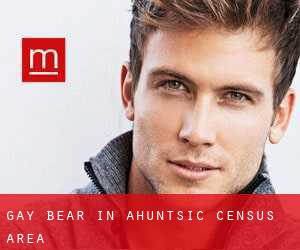 Gay Bear in Ahuntsic (census area)