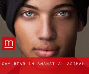 Gay Bear in Amanat Al Asimah