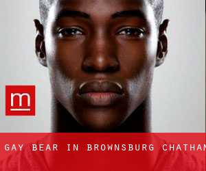 Gay Bear in Brownsburg-Chatham