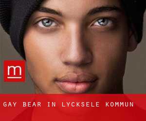 Gay Bear in Lycksele Kommun