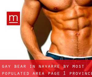 Gay Bear in Navarre by most populated area - page 1 (Province)