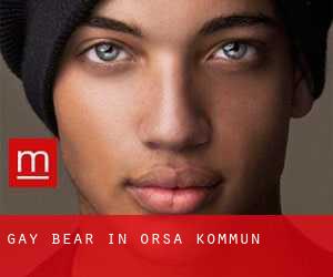 Gay Bear in Orsa Kommun