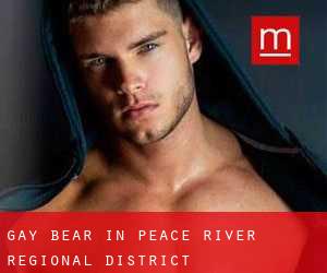 Gay Bear in Peace River Regional District