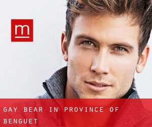 Gay Bear in Province of Benguet