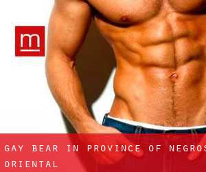 Gay Bear in Province of Negros Oriental