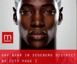 Gay Bear in Segeberg District by city - page 1