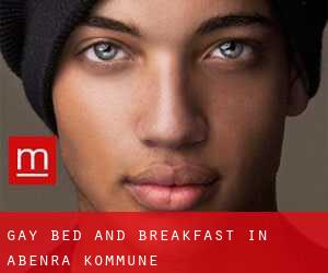 Gay Bed and Breakfast in Åbenrå Kommune