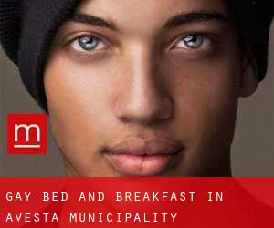 Gay Bed and Breakfast in Avesta Municipality