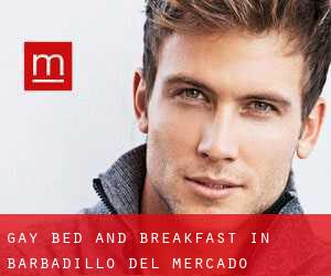 Gay Bed and Breakfast in Barbadillo del Mercado
