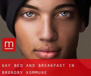 Gay Bed and Breakfast in Brøndby Kommune