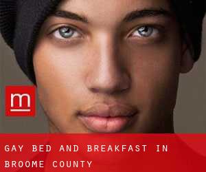 Gay Bed and Breakfast in Broome County