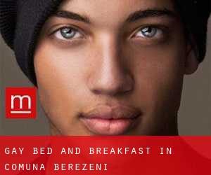 Gay Bed and Breakfast in Comuna Berezeni