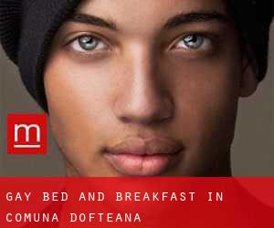 Gay Bed and Breakfast in Comuna Dofteana