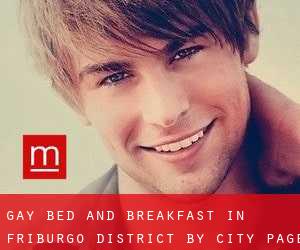 Gay Bed and Breakfast in Friburgo District by city - page 1