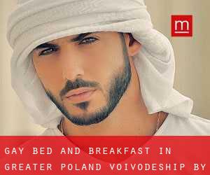 Gay Bed and Breakfast in Greater Poland Voivodeship by County - page 1