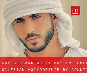 Gay Bed and Breakfast in Lower Silesian Voivodeship by County - page 1