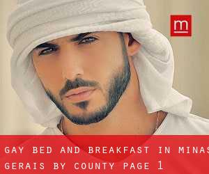 Gay Bed and Breakfast in Minas Gerais by County - page 1
