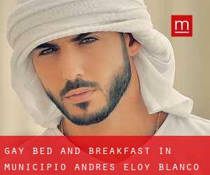 Gay Bed and Breakfast in Municipio Andrés Eloy Blanco