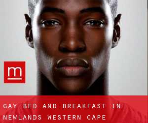 Gay Bed and Breakfast in Newlands (Western Cape)