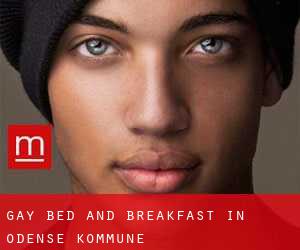 Gay Bed and Breakfast in Odense Kommune