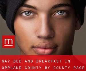 Gay Bed and Breakfast in Oppland county by County - page 1